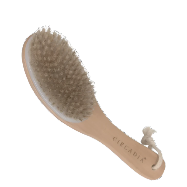 Circadia Body Brush